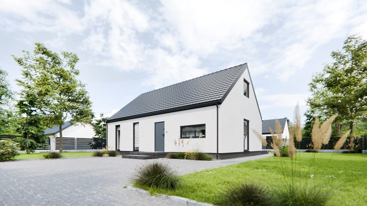 LAGOMHUS MODEL E+P Wizualizacja 3