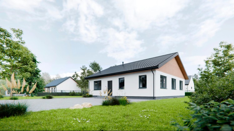 LAGOMHUS MODEL Model L  Wizualizacja 2