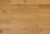 panel2.png